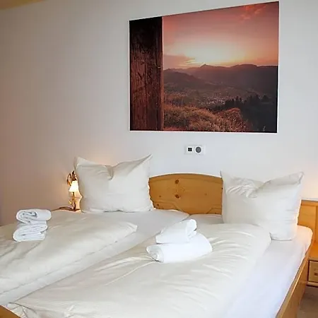 瓦利赛运动酒店 酒店 Hirschegg (Vorarlberg)